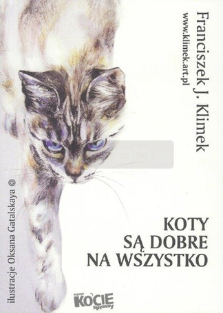 Koty są dobre na wszystko