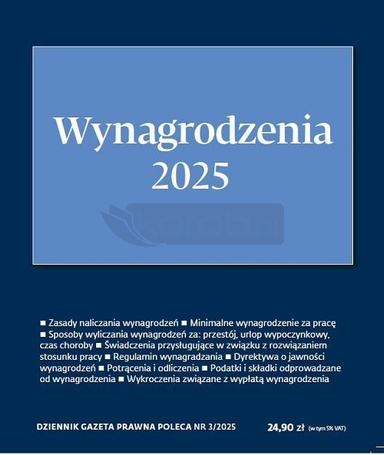 Wynagrodzenia 2025 DGP Poleca 3/2025