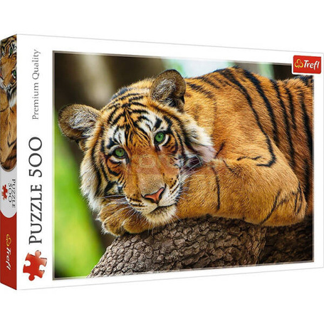 Puzzle 500 elementów Portret tygrysa