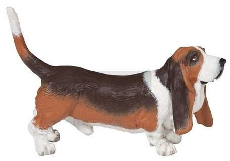 Basset