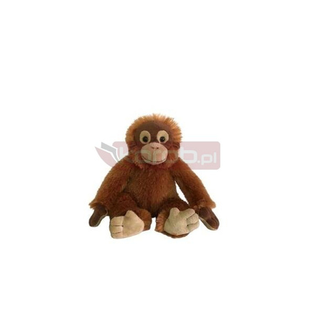 Orangutan 24cm