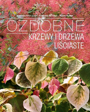 Ozdobne Krzewy i drzewa Liściaste