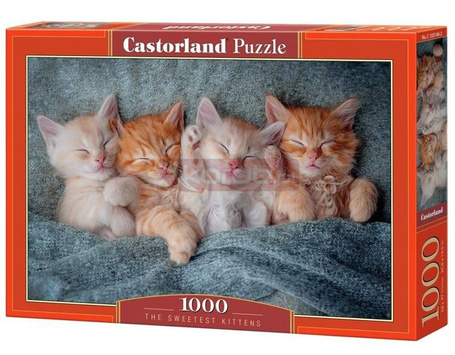 Puzzle 1000 The Sweetest Kittens CASTOR