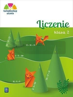 Kalejdoskop ucznia. Liczenie kl. 2 WSiP