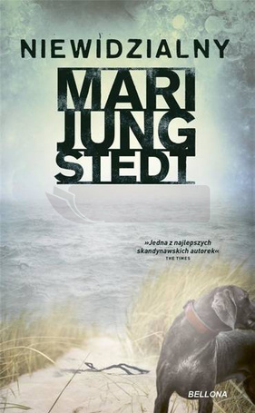 Niewidzialny