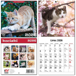 Kalendarz 2026 dla dzieci 16x32 13 plansz Kociaki