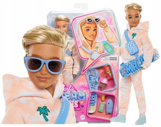 LALKA BARBIE DREAM BESTIES Lalka modowa Ken z akcesoriami JDD75