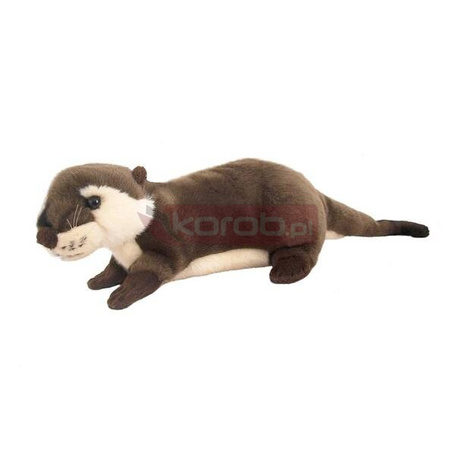 Wydra europejska 20cm