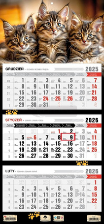 Kalendarz 2026 trójdzielny płaska główka kotki