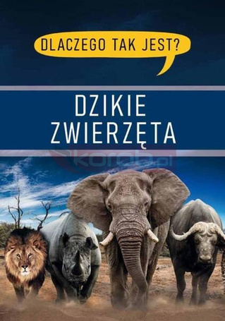 Dlaczego tak jest? Dzikie zwierzęta