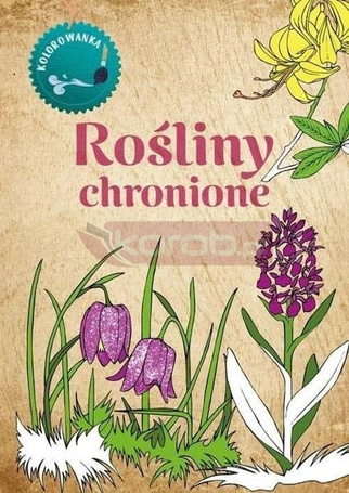 Kolorowanka Rośliny Chronione