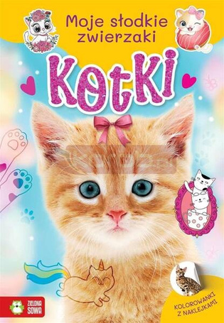 Moje słodkie zwierzaki. Kotki