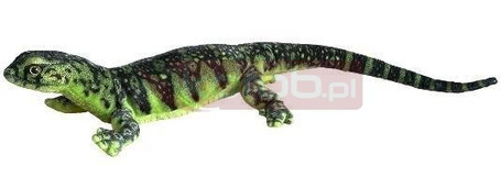 Waran zielony 80cm
