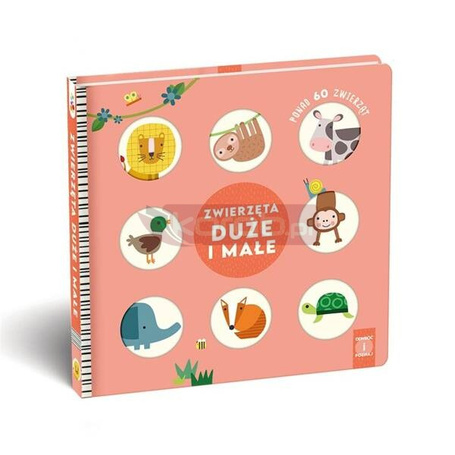 Zwierzęta duże i małe