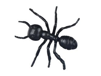 Mrówka plastikowa 5cm czarna 12szt