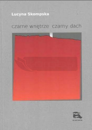 czarne wnętrze czarny dach