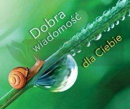 Perełka 288 - Dobra wiadomość dla Ciebie