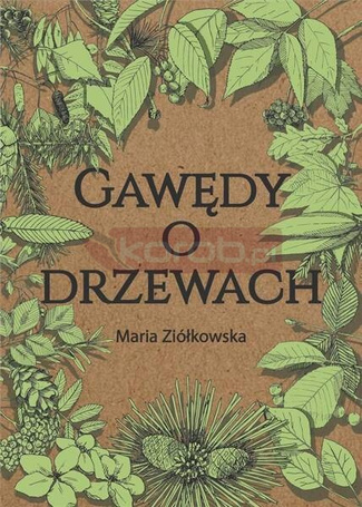 Gawędy o drzewach