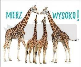 Perełka 291 - Mierz wysoko!