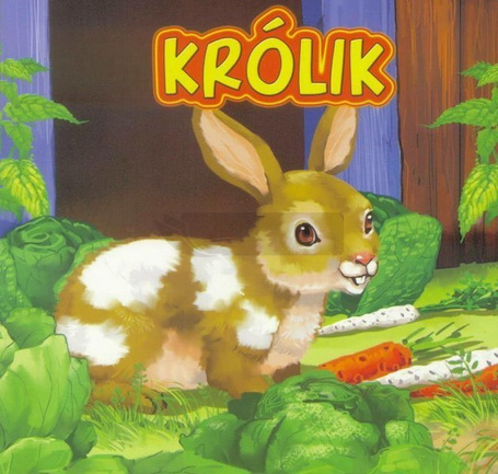 Królik JAFI