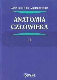 Anatomia człowieka T.2