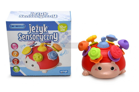 Jeżyk sensoryczny czerwony