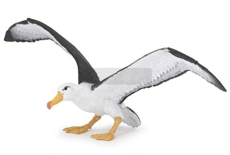 Albatros