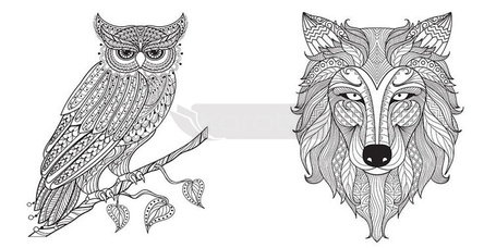 Tajemny świat przyrody. Kolorowanki rozbudzające..