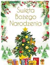 Święta Bożego Narodzenia. Wydanie ekskluzywne