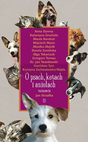 O psach, kotach i aniołach