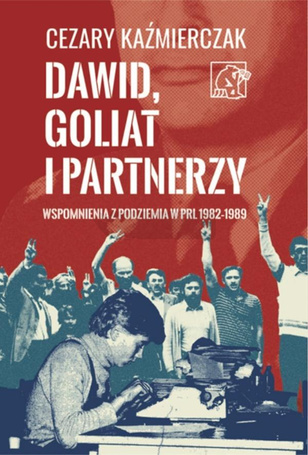 Dawid, Goliat i partnerzy