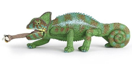 Kameleon