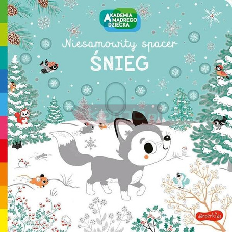 Akademia Mądrego Dziecka Niesamowity spacer Śnieg