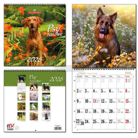 Kalendarz 2026 30x60 13 planszowy Psy Rasowe
