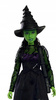 LALKA WICKED ELFABA ZIELONA CZAROWNICA lalka filmowa + akcesoria HXT62