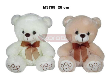 Miś 28cm MIX
