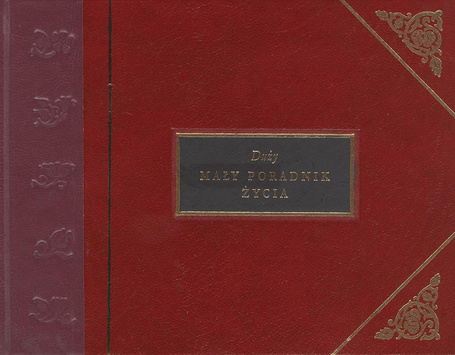 Duży mały poradnik życia