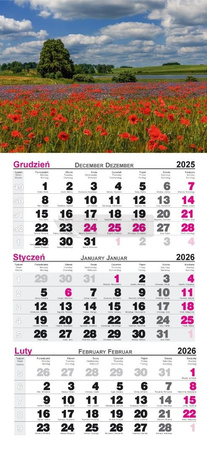 Kalendarz 2026 ścienny trójdzielny Maki