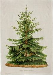 Ręcznik kuchenny - Jodła Święta BN