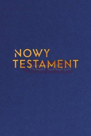 Nowy Testament z infografikami 14x19,5cm w.złota