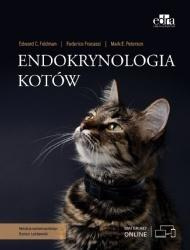 Endokrynologia kotów