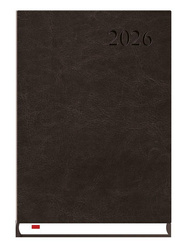 Terminarz 2026 A5 Asystent Alaska czarny
