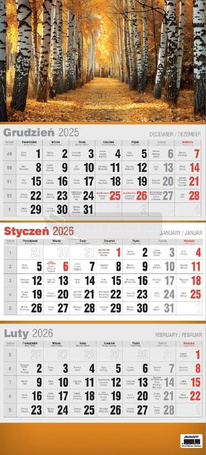 Kalendarz 2026 trójdzielny 3D MIX