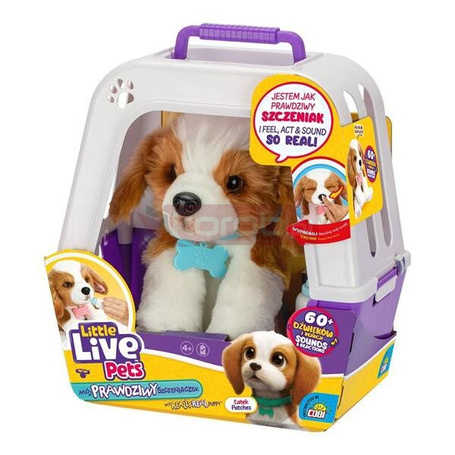 Little Live Pets - Piesek z transporterkiem