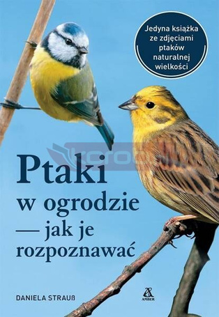 Ptaki w ogrodzie - jak je rozpoznawać