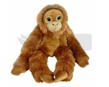 Orangutan big eyes 50cm