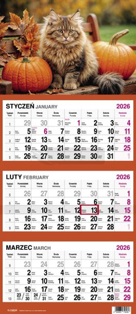 Kalendarz 2026 Trójdzielny Kot