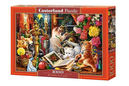 Puzzle 1000 Wizard Kittens CASTOR