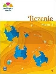 Kalejdoskop ucznia. Liczenie kl. 3 WSiP