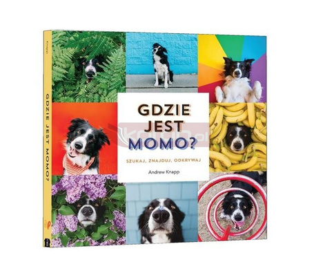 Gdzie jest Momo?